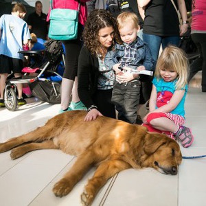 Team Page: TobySpeaks